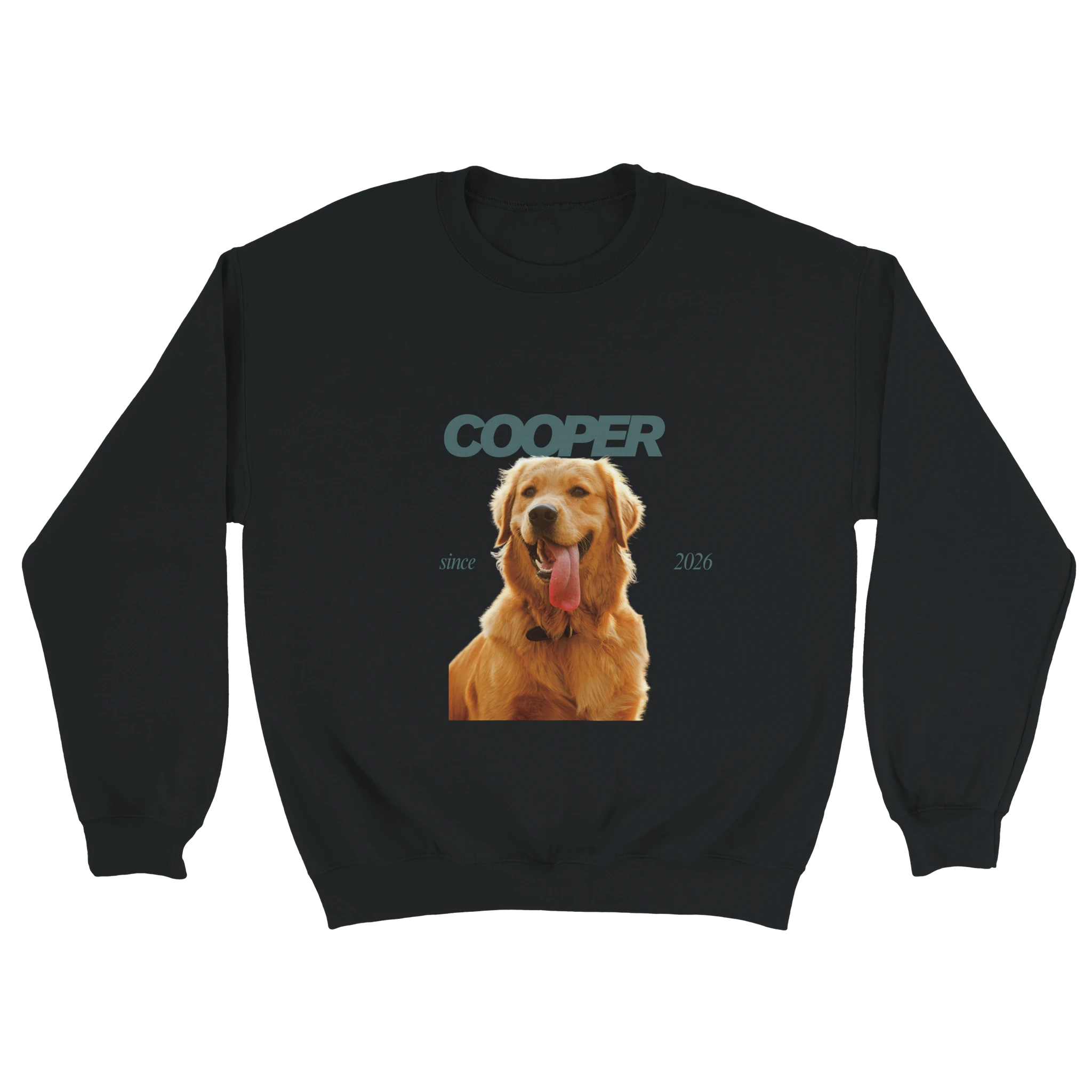 4f5fd853-87f5-48f6-ae17-895af7f22eef