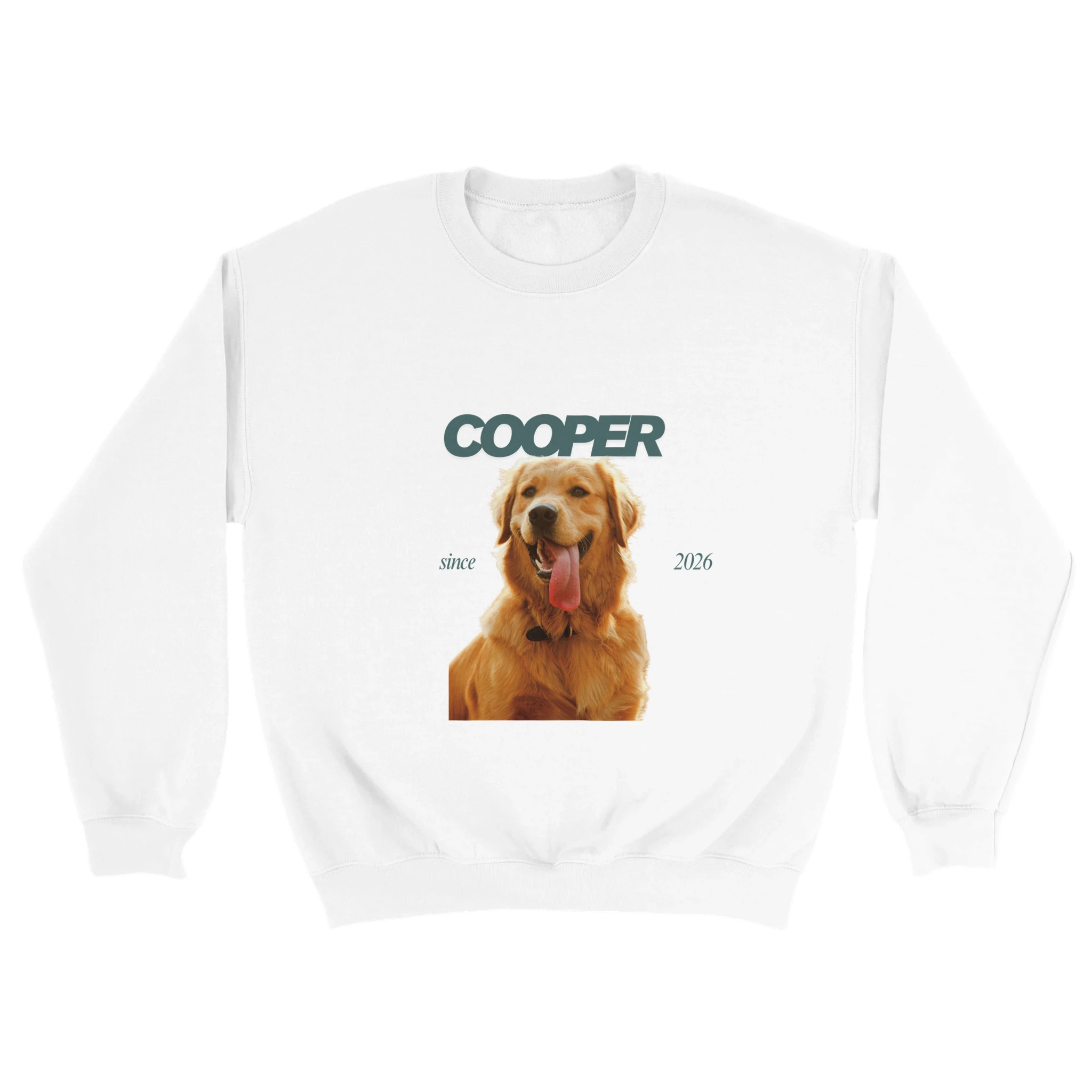 980b5e09-4c6f-4940-8b44-bb6b6f0977c5