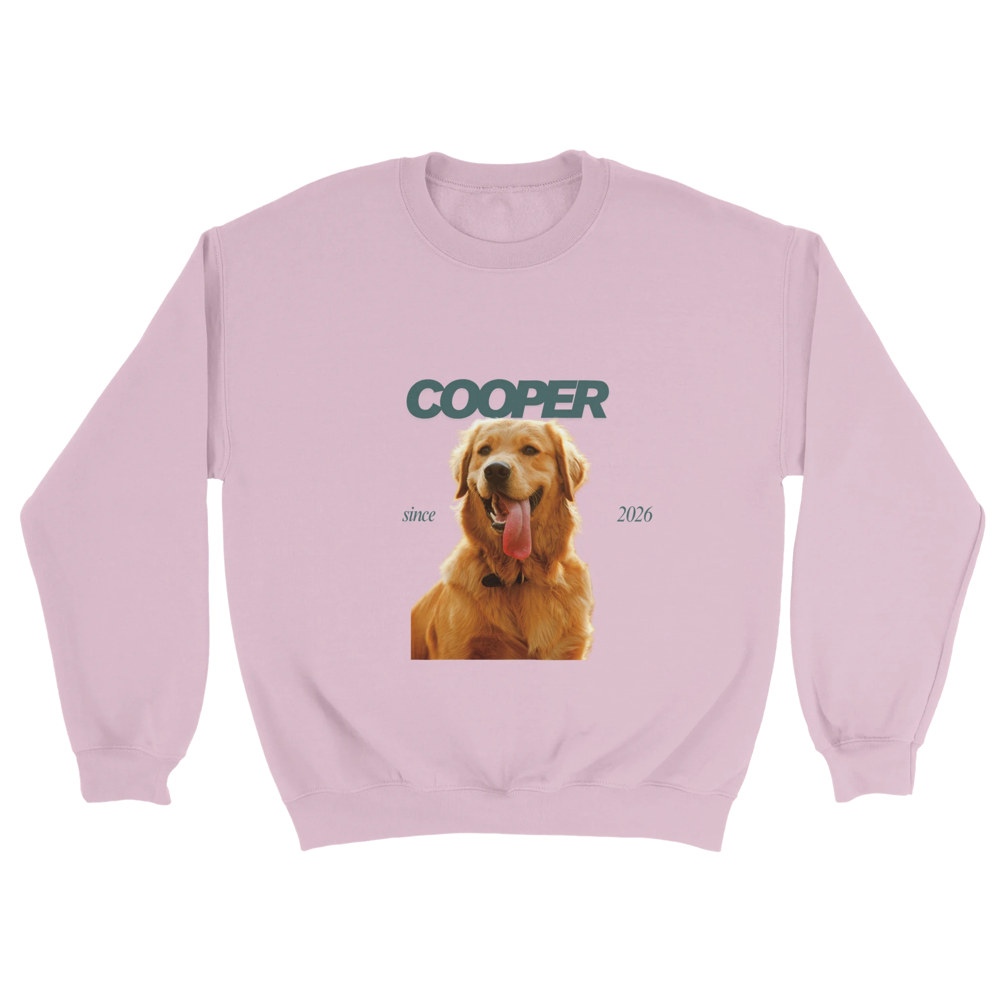 b2bce43a-58d5-4eb2-bd3c-d19018e53f12